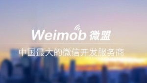 上海盟耀信息科技